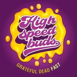 Grateful Dead Fast  High Speed Buds
