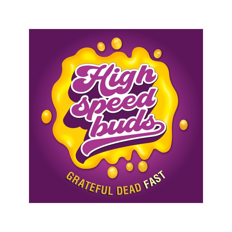 Grateful Dead Fast  High Speed Buds