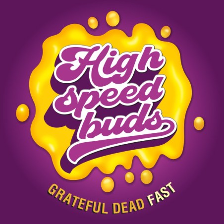 Grateful Dead Fast  High Speed Buds