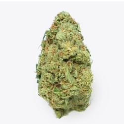 Cañamo Cbd Gorilla Grillz G.House Gelato 5 gr.