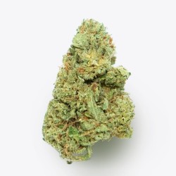 Cañamo Cbd Gorilla Grillz G.House Leroy Jenkins