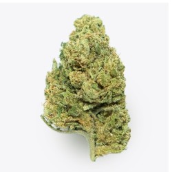 Cañamo Cbd Gorilla Grillz G.House Leroy Jenkins