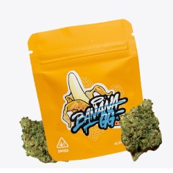Cañamo Cbd Gorilla Grillz Indoor Banana GG