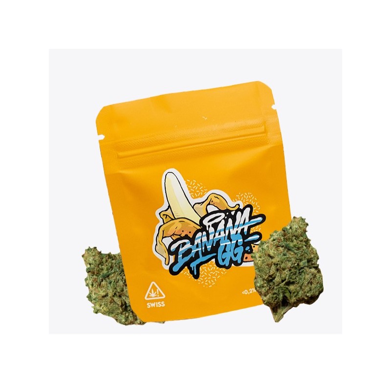 Cañamo Cbd Gorilla Grillz Indoor Banana GG