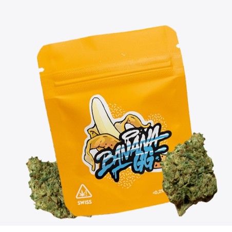 Cañamo Cbd Gorilla Grillz Indoor Banana GG