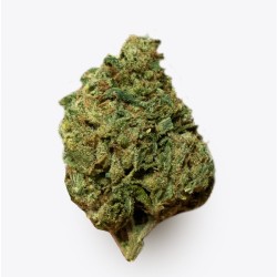 Cañamo Cbd Gorilla Grillz Indoor Banana GG