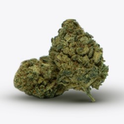 Cañamo Cbd Gorilla Grillz Indoor Forbidden Fruit