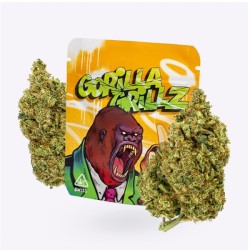 Cañamo Cbd Gorilla Grillz Indoor Gorilla Grillz