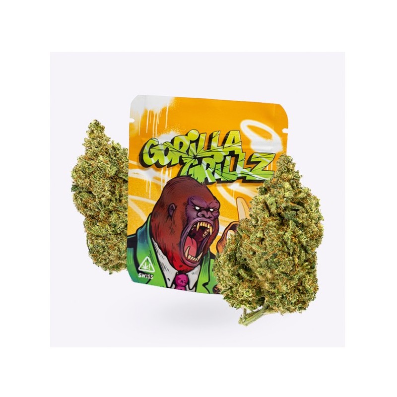 Cañamo Cbd Gorilla Grillz Indoor Gorilla Grillz