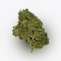 Cañamo Cbd Gorilla Grillz Indoor Wedding Cake