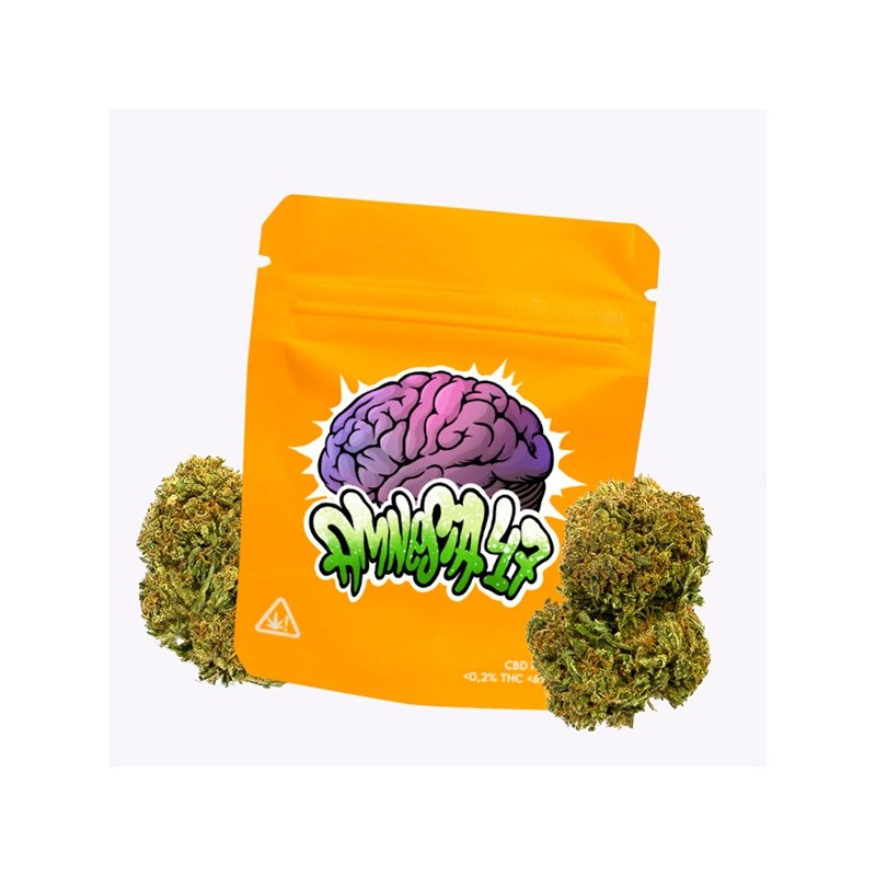 Cañamo Cbd Gorilla Grillz Outdoor Amnesia 47