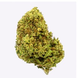 Cañamo Cbd Gorilla Grillz Outdoor Cherry Kush