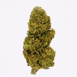 Cañamo Cbd Gorilla Grillz Outdoor Lemon Haze