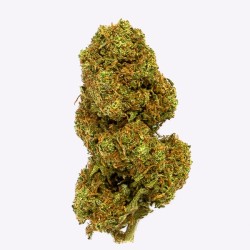 Cañamo Cbd Gorilla Grillz Outdoor Orange Cookies