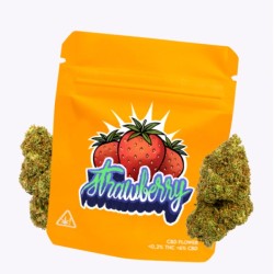 Cañamo Cbd Gorilla Grillz Outdoor Strawberry