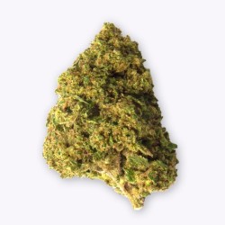 Cañamo Cbd Gorilla Grillz Outdoor Zkittlez