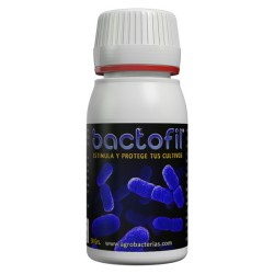 Bactofil Agrobacterias